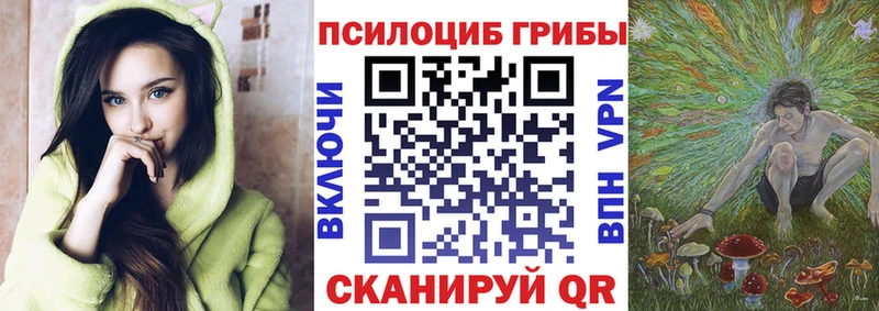 наркотики  Балашиха  Псилоцибиновые грибы мицелий 