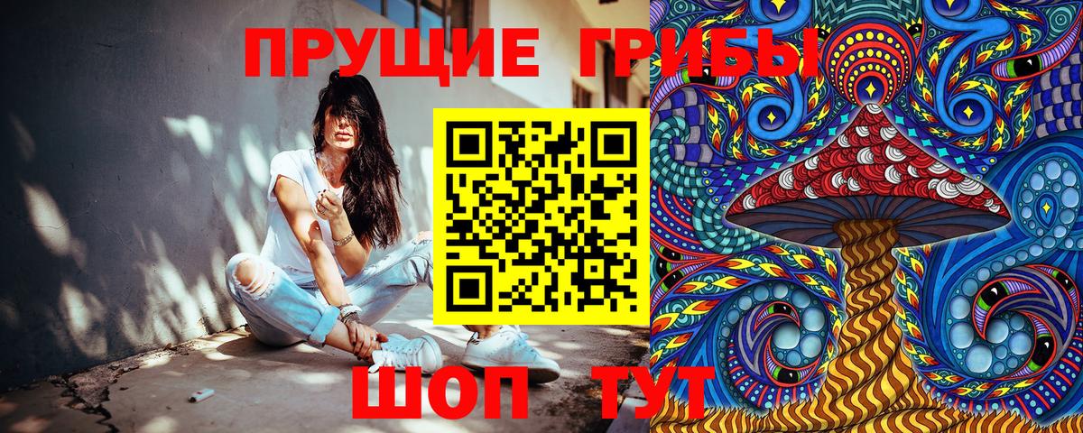Балашиха  Галлюциногенные грибы прущие грибы  купить закладку  Вход с VPN 