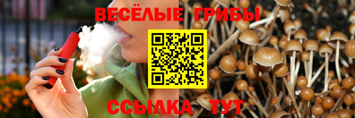 Псилоцибиновые грибы Magic Shrooms Балашиха